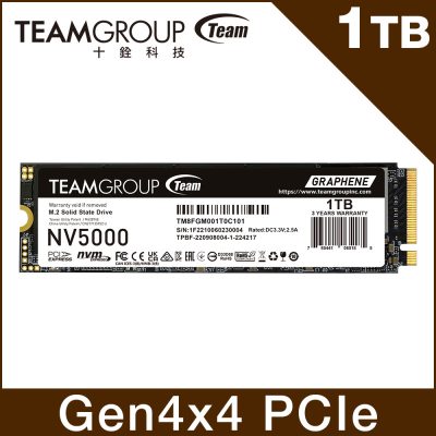 十銓 Team NV5000 1TB/讀:4500/寫:1900/三年保