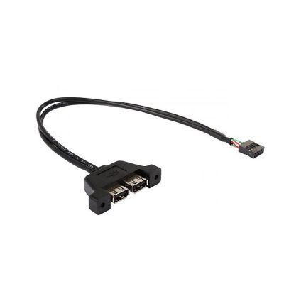 華擎 DeskMini 配件 USB2.0 二埠擴充線 (X300/A300/H470/310/110通用款)