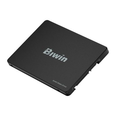 佰維 Biwin M100 512GB SATA/三年保