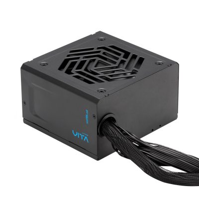 全漢 FSP VIC 650W (雙8/金牌/直出線/ATX3.1/主日系/五年保固)