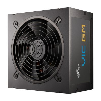 全漢 FSP VIC GM 750W（雙8/金牌/全模/ATX3.1/PCIe 5.1/主日系/五年保固）促銷（專案價!!!!!）